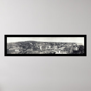 Affiches Oiseau-oeil de la photo 1914 de manganèse de