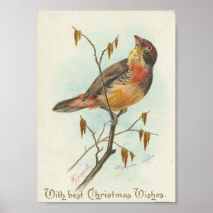 Affiches Oiseau vintage de Noël