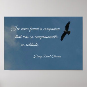 Affiches Oiseau volant haut avec une citation sur la solitu