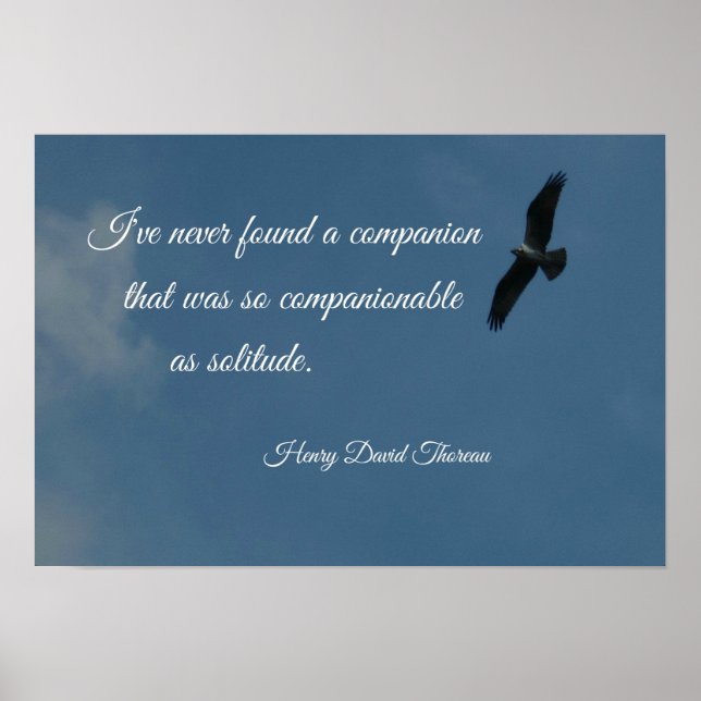 Affiches Oiseau volant haut avec une citation sur la solitu (Devant)