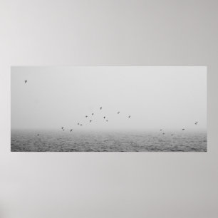 Affiches Oiseaux dans le brouillard
