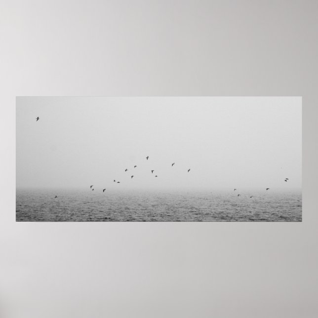 Affiches Oiseaux dans le brouillard (Devant)