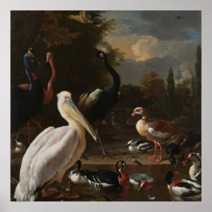 Affiches Oiseaux de beaux-arts