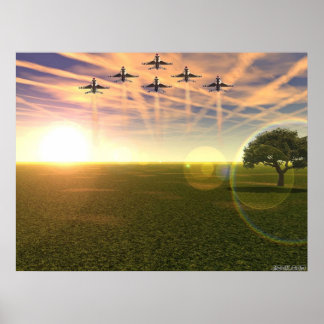 Affiches Oiseaux De Prey