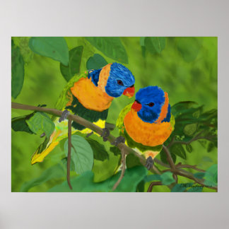 Affiches Oiseaux Du Paradis