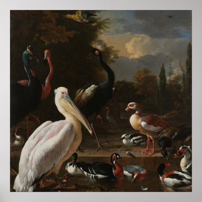 Affiches Oiseaux fins (Devant)