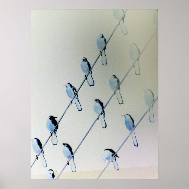 Affiches Oiseaux inversés à la ligne (Devant)