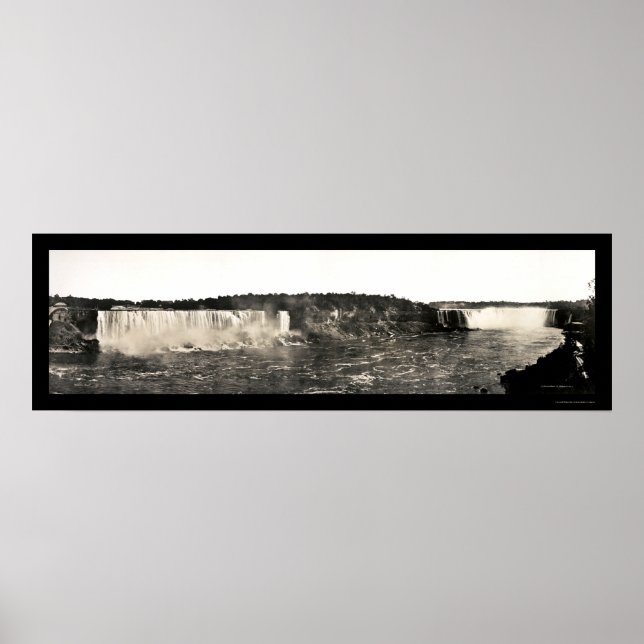 Affiches Oiseaux Niagara Falls Photo 1916 (Devant)