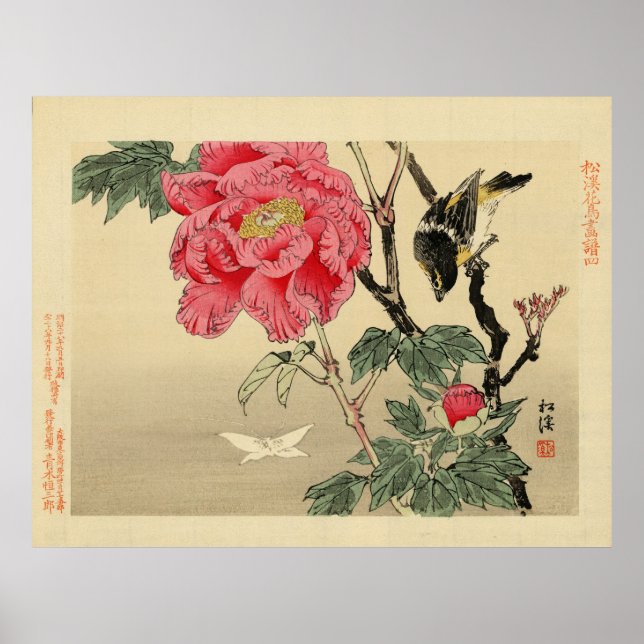 Affiches Oiseaux observant un papillon (Devant)