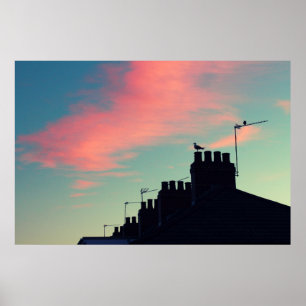 Affiches Oiseaux primitifs