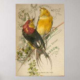 Affiches Oiseaux sur le dos vintage de photo