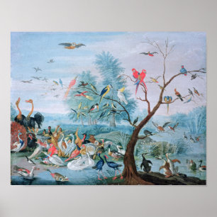 Affiches Oiseaux tropicaux dans un paysage