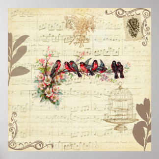 Affiches Oiseaux vintages