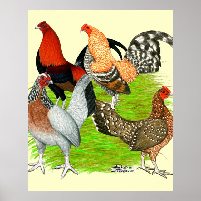 Affiches Old English Game Quartet (Devant)