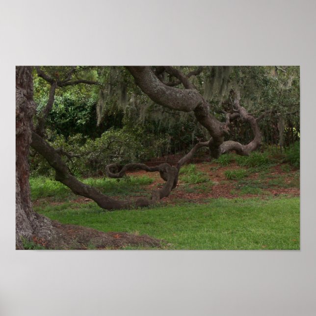 Affiches Old Oak (Devant)