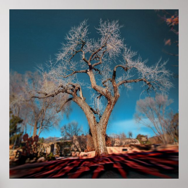 Affiches Old Roots of Canyon Road (Devant)