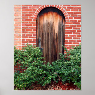 Affiches Old wooden door
