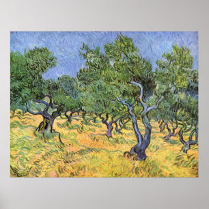 Affiches Olive Trees par Vincent van Gogh