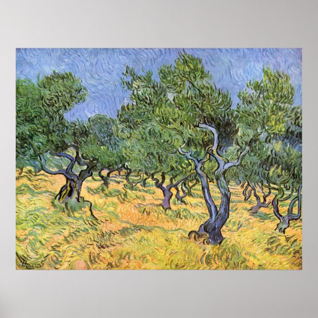 Affiches Olive Trees par Vincent van Gogh (Devant)
