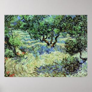 Affiches Oliveraie par Vincent van Gogh