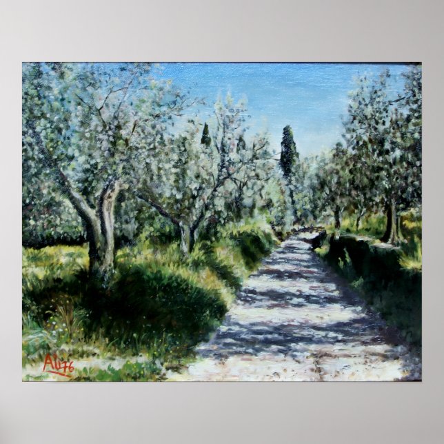 Affiches OLIVIERS DANS RIMAGGIO Paysage toscan (Devant)