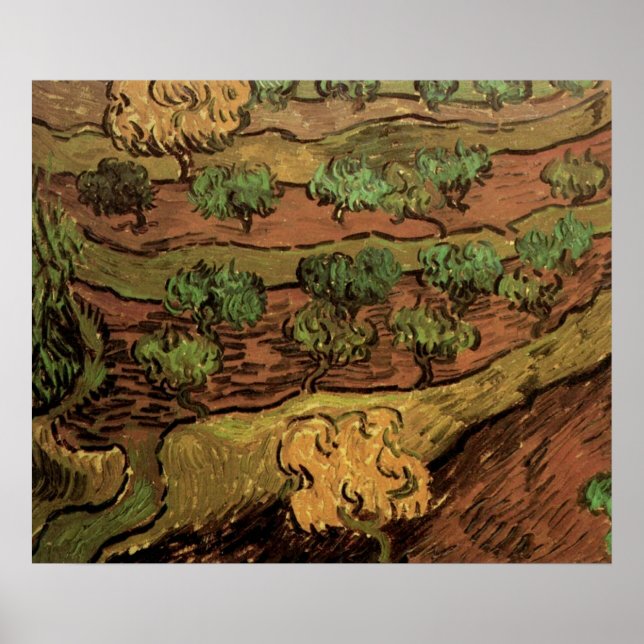 Affiches Oliviers de Van Gogh contre une pente de colline (Devant)