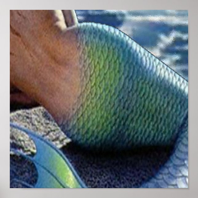 AFFICHES OLOKUN SIRENA (Devant)