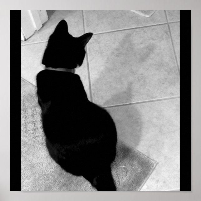 Affiches Ombre de Lucy B+W (Devant)