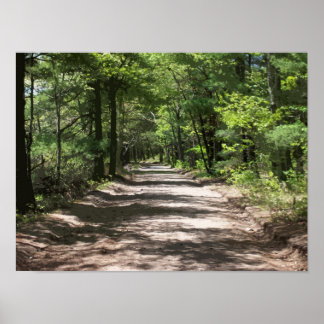 Affiches Ombres après-midi