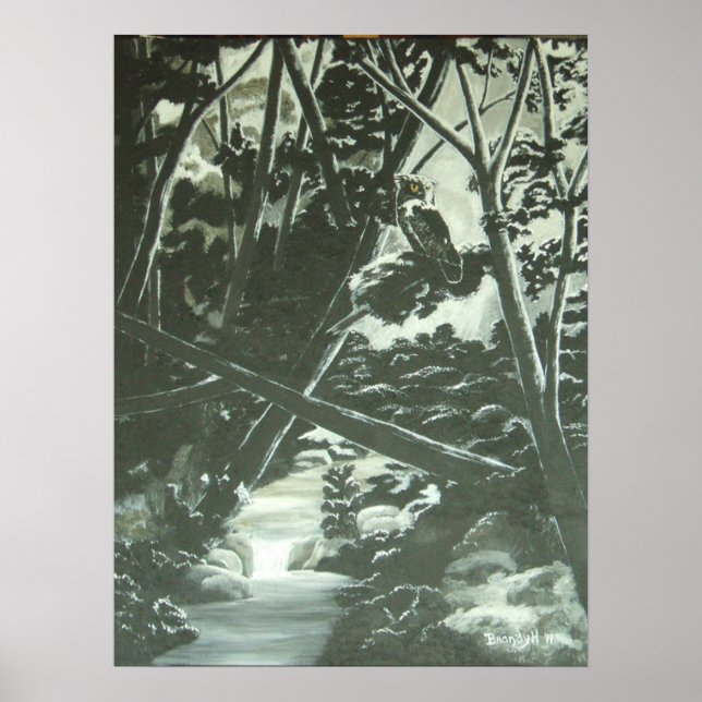 Affiches Ombres Lune (Devant)