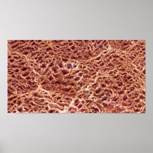 Affiches Ondes sur barre de sable avec boue séchée III - Sa