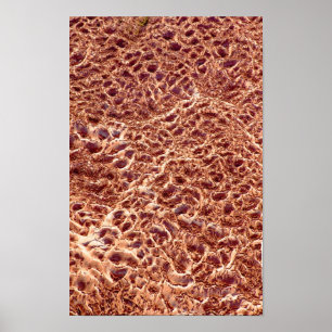 Affiches Ondes sur la barre de sable