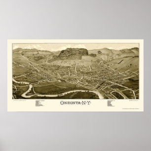 Affiches Oneonta, carte panoramique de NY - 1884