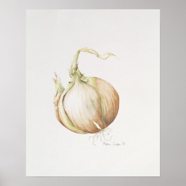 Affiches Onion Study 1993 (Devant)