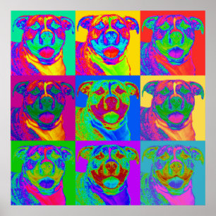 Affiches Op Art Pitbull