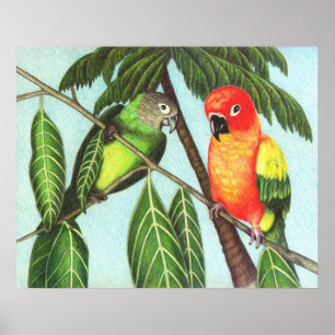 Affiches Opus et monstre