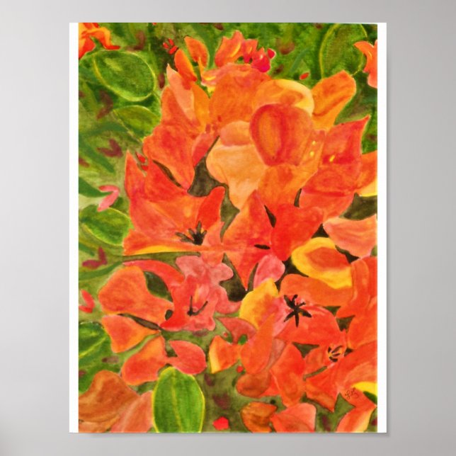 Affiches Orange and Yellow Bougainvillea Watercolor (Devant)