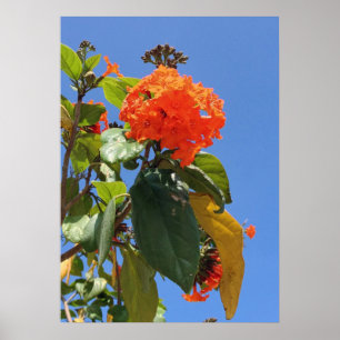 Affiches Orange Geiger Tree