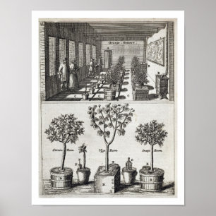 Affiches Orangerie, de "De Nederlandze Hesperides" avant