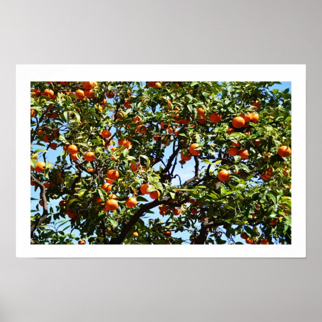 Affiches Oranges (Devant)