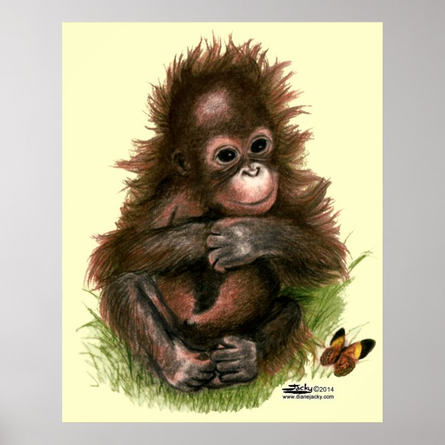 Affiches Orangutan Baby and Butterfly (Devant)