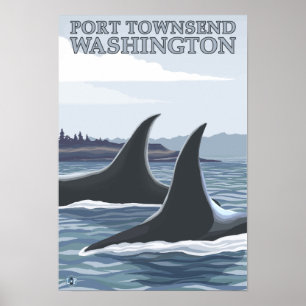 Affiches Orca Whales #1 - Port Townsend, Washington