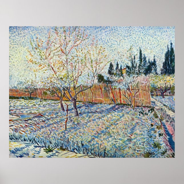 Affiches Orchard avec cypress par Vincent van Gogh (Devant)