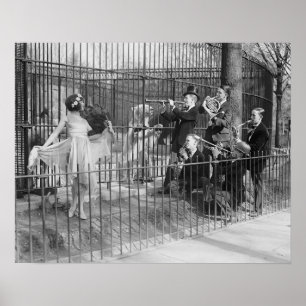 Affiches Orchestre de Jazz au Zoo, 1925. Photo ancienne