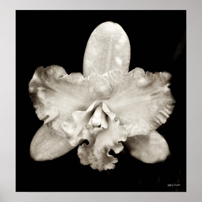 Affiches Orchidée (Devant)