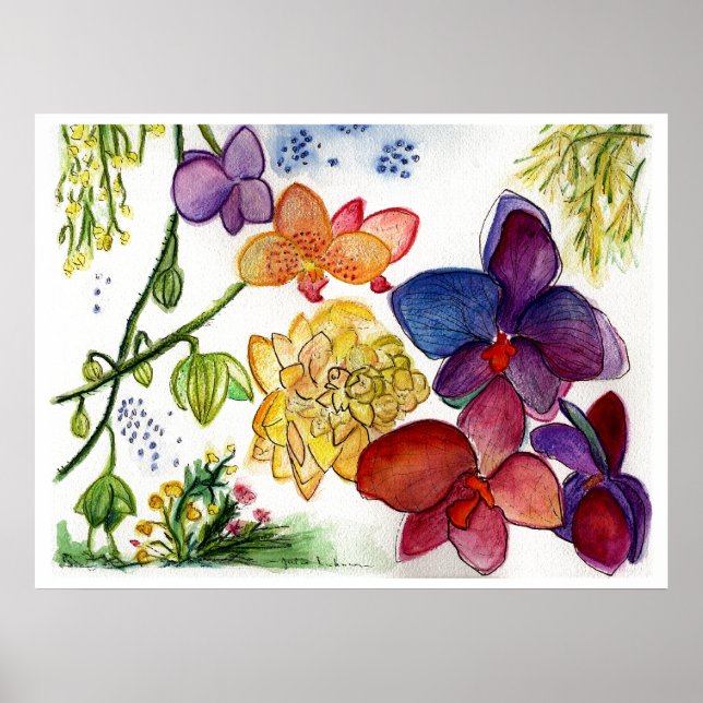 Affiches orchidée-40 (Devant)