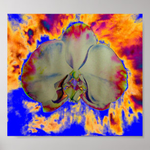 Affiches Orchidée de feu, abstraite peinture florale tropic