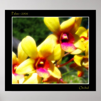 Affiches Orchidée jaune