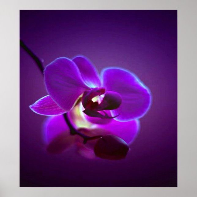 Affiches Orchidée violette (Devant)