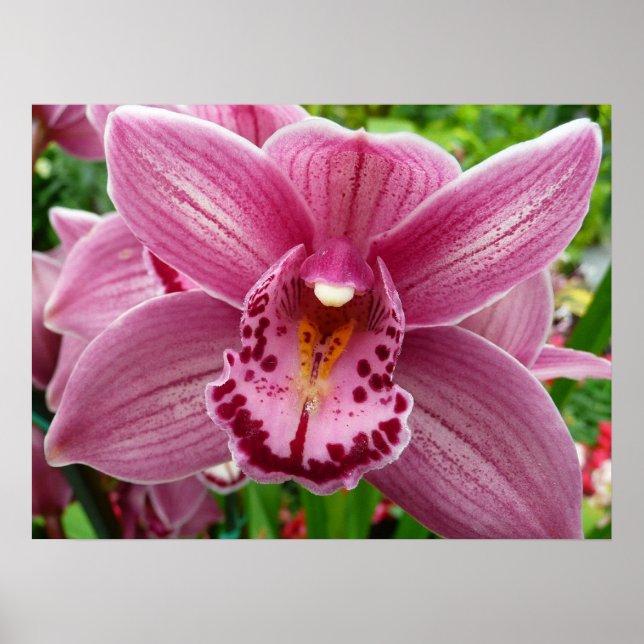 Affiches Orchidée violette Élégante Florale (Devant)